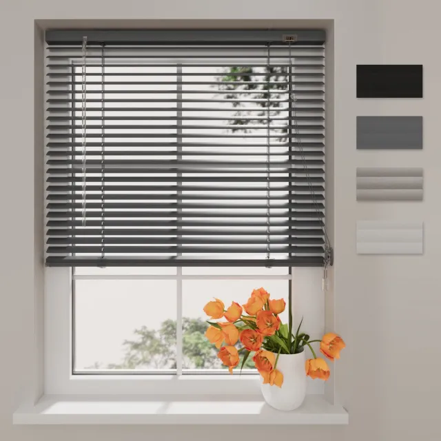 DTCH Aluminium Jaloezie Easy - 25mm - Anthracite - 50 x 175 cm
