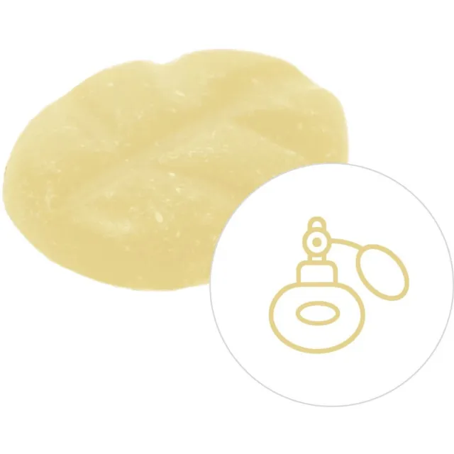 Scentchips Queen Million - Geurblokjes - Huisparfum - Geurchips - Waxmelts - Geschikt voor Geurbrander en Waxbrander - S - 8 Stuks Geel