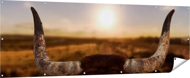 Gards Tuinposter Stierenhoorns bij Zonsondergang - 210x70 cm - Tuindoek - Tuindecoratie - Wanddecoratie buiten - Tuinschilderij Multikleur