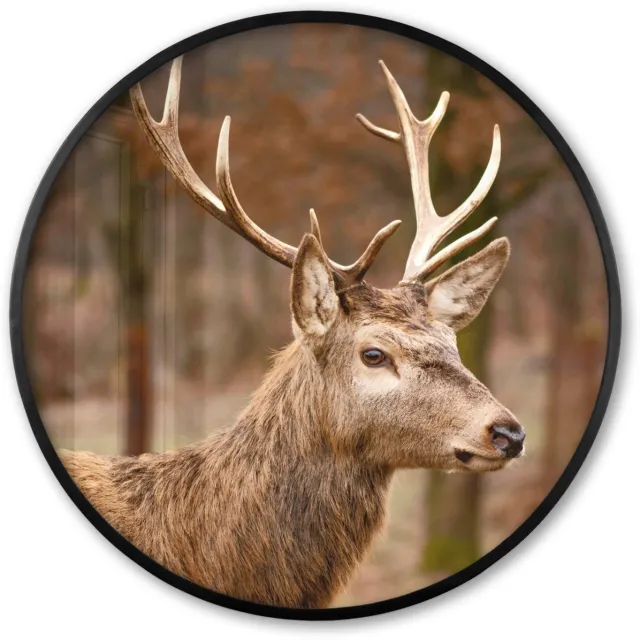 FrameYourWall Poster in lijst Rond - Fotolijst 80x80 cm - Posters - Hert - Dier - Bos - Herfst - Hertenkop - Bruin - Natuur - Ronde posterlijst zwart - Decoratie - Wanddecoratie woonkamer - Muurdecoratie slaapkamer