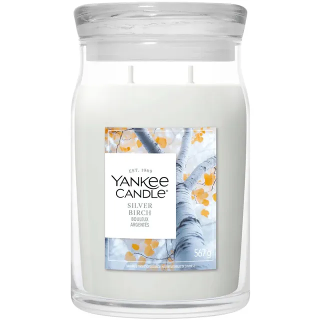 Yankee Candle Silver Birch Large Jar - tot 80 branduren Blauw