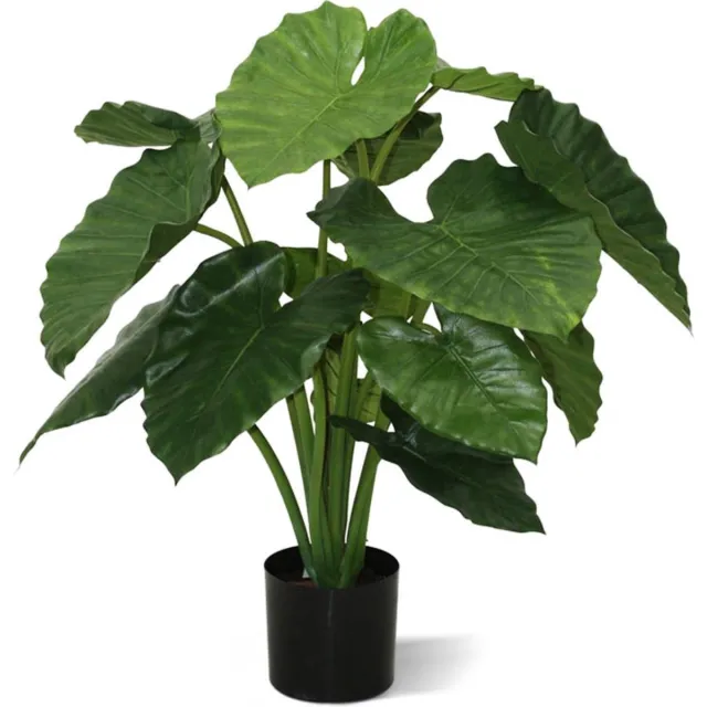maxifleur Kunstplanten Alocasia Calidora kunstplant 80cm Groen