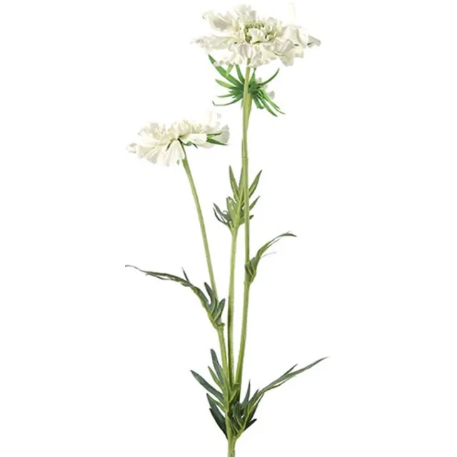 Countryfield Kunstbloem Scabiosa José crème Créme