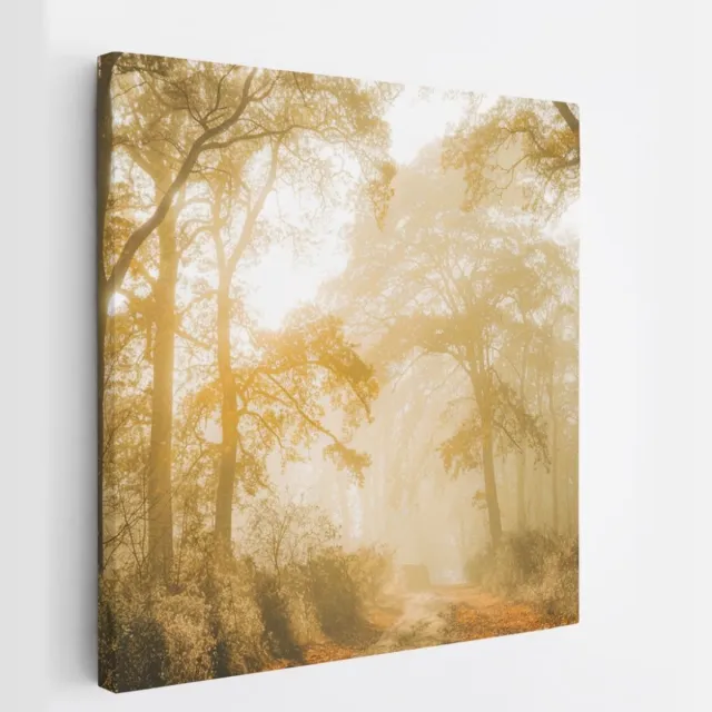 Saammp Canvas Schilderij - Lichtval tussen de Bomen - Landschap - Natuur - 30x30 - Foto op canvas - Wanddecoratie - Muurdecoratie Woonkamer - Slaapkamer decoratie - Canvas Print Multicolor