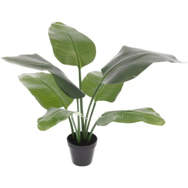 maxifleur Kunstplanten Strelitzia Nicolai kunstplant 60cm Groen