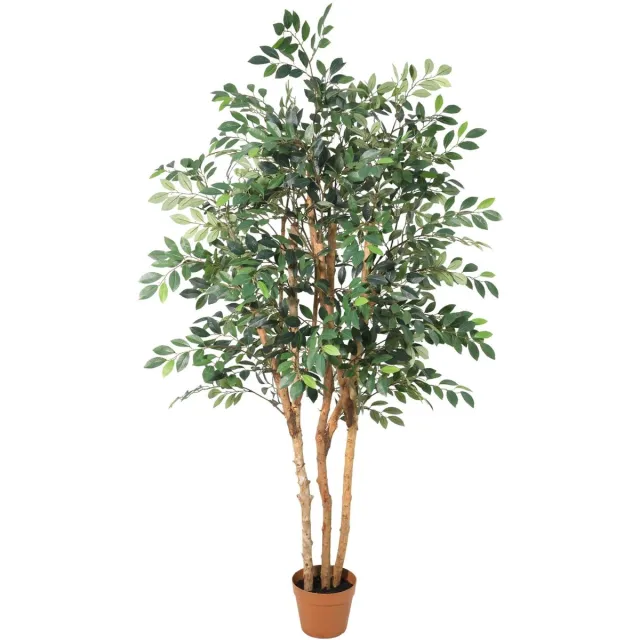 Trendyplants Kunst Ficus Exotica - Ficus - Kunstplant - Hoogte 150cm - Potmaat Ø18cm Groen