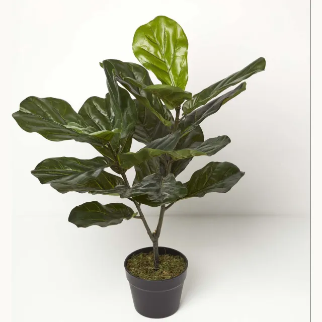 Homescapes Kunstplant Vioolbladplant (Ficus lyrata) in Pot – 75 cm – Groen – UV-bestendig