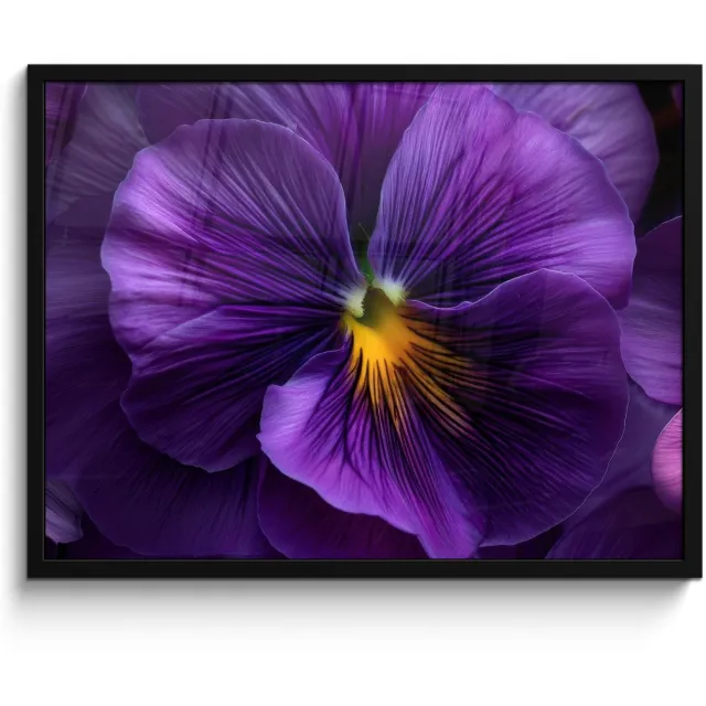 FrameYourWall Poster in lijst - Fotolijst 70x50 cm - Posters - Paars - Viool - Diepte - Posterlijst zwart - Decoratie - Wanddecoratie woonkamer - Muurdecoratie slaapkamer