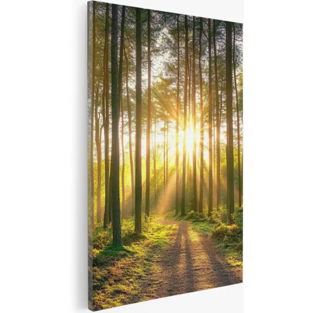 Saammp Canvas Schilderij - Zon tussen de hoge bomen - Natuur - Landschap - 100x150 - Foto op canvas - Wanddecoratie - Muurdecoratie Woonkamer - Slaapkamer decoratie - Canvas Print Multicolor
