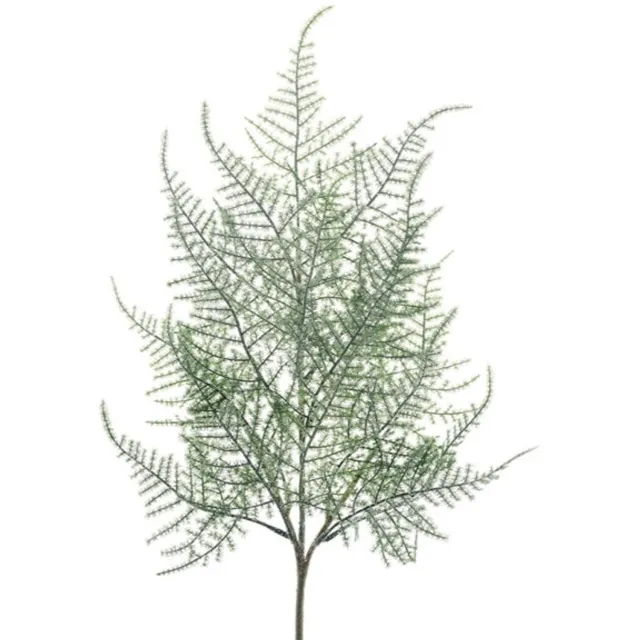 Hortus Kunsttak plumosa asparagus frosted, 65 cm Hortus onbekend