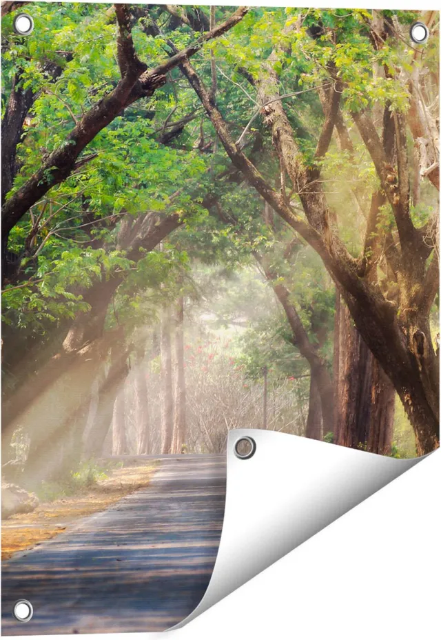 Gards Tuinposter Weg Omringd met Bomen - 40x50 cm - Tuindoek - Tuindecoratie - Wanddecoratie buiten - Tuinschilderij Multikleur