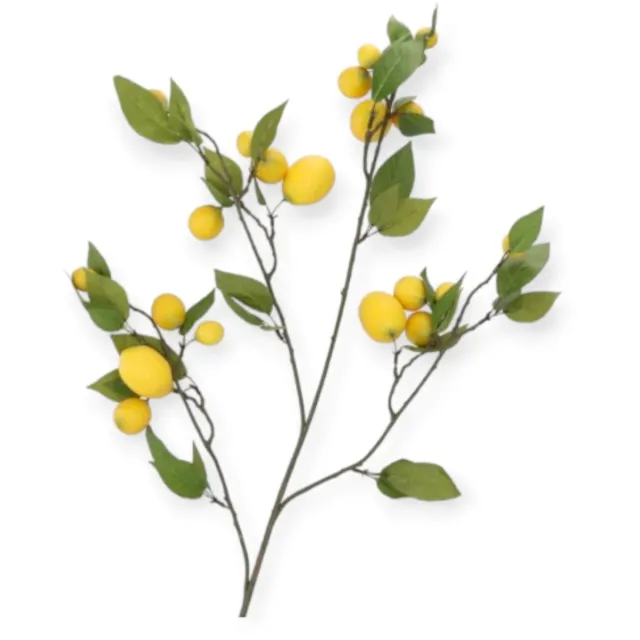 DK design Daan Kromhout - Kunsttak - Kunstbloem - Citroen - Lemon - 135cm Groen