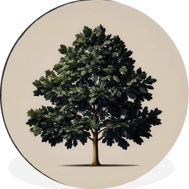 WallCircle Wandcirkel - Muurcirkel - Eikenboom - Schaduw - Egaal - Aluminium - Dibond - 120x120 cm - Binnen en Buiten Eikenboom - Egaal