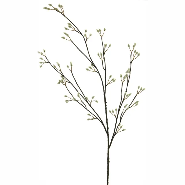 Erutan avon Pussy willow spray cream 120cm Erutan Avon onbekend