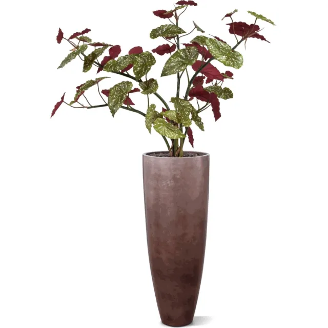 maxifleur Kunstplanten Begonia Maculata kunstplant 110cm Rood