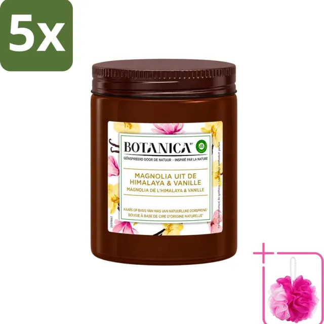 Air Wick 5 x Botanica by Air Wick - Geurkaars - Vanille & Magnolia - 40 Uur Brandduur - Bulkverpakking - Geurkaars - Douchemop - Vanille en magnolia Bruin