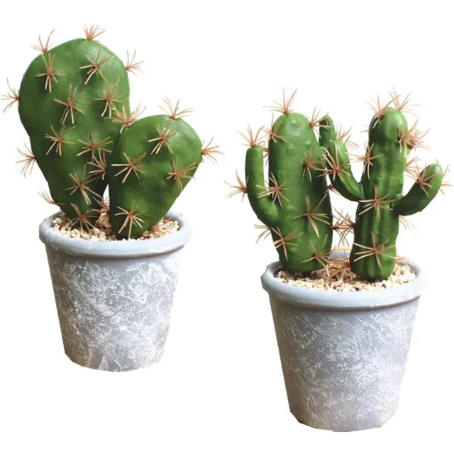 Fycooler Set van 2 Kunstplanten Succulenten met Pot - Realistisch Groen