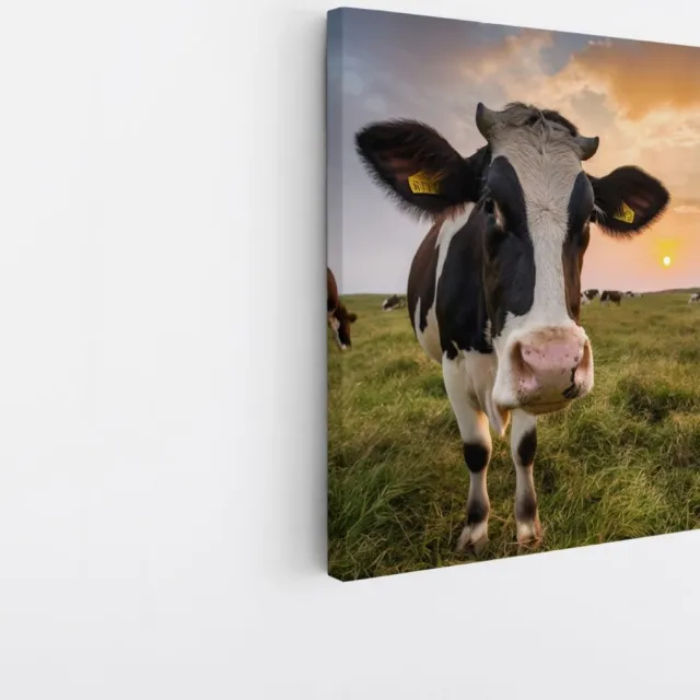 Saammp Canvas Schilderij - Koe in de wei met zonsondergang - Natuur - Dieren - 60x60 - Foto op canvas - Wanddecoratie - Muurdecoratie Woonkamer - Slaapkamer decoratie - Canvas Print Multicolor
