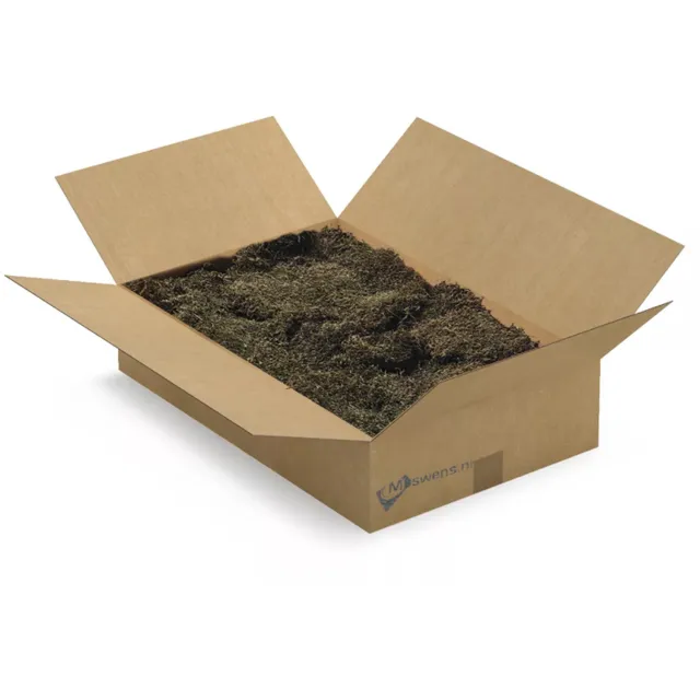 Moswens decoratie mos - Platmos - 1,5 KG - Doos L - pine 0,45 m² - Vlak mos voor moswand of mosschilderij Groen