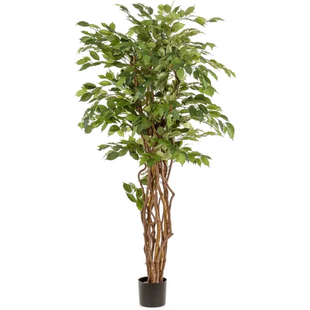Emerald Kunstboom Ficus Liana 170cm - Kunstplant voor binnen Groen