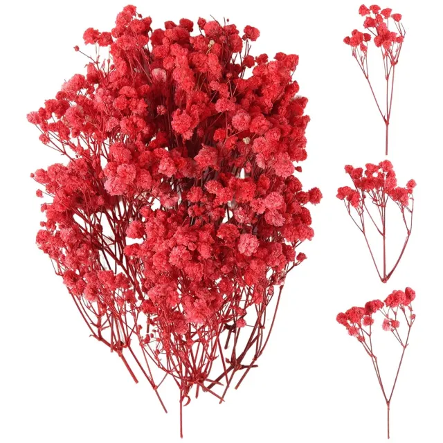 Famanu Gedroogde gypsophila bloemen set met 100 stuks voor decoratie en kunst