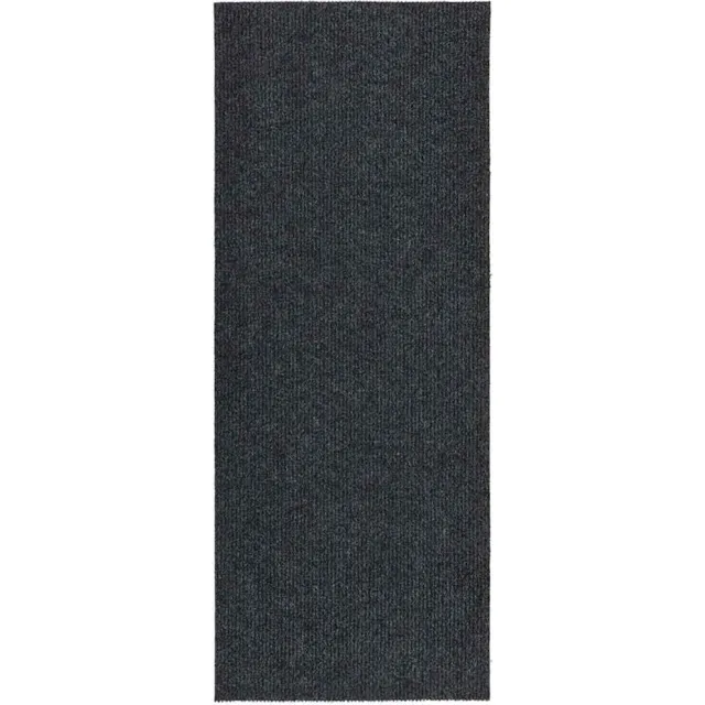 vidaXL Droogloopmat 100x250 cm antracietkleurig Anthraciet