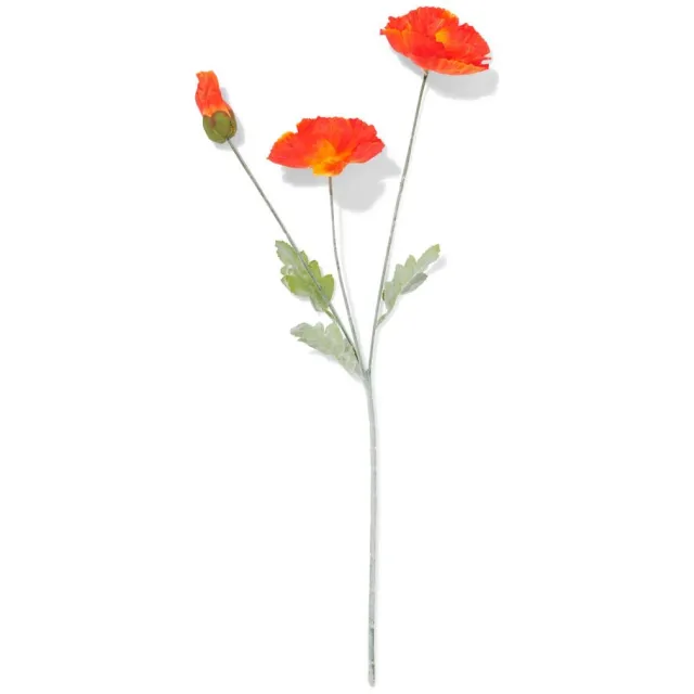 HEMA Kunstbloem klaproos 55cm rood (rood)