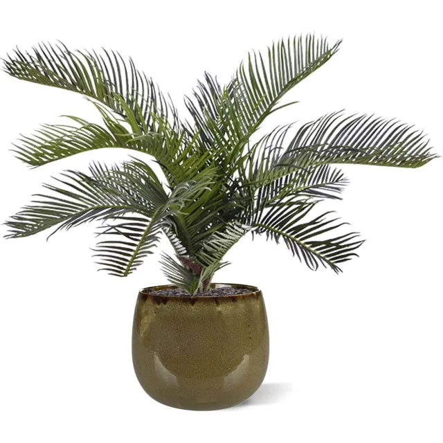 maxifleur Kunstplanten Cycas Palm kunstboeket 50 cm Groen