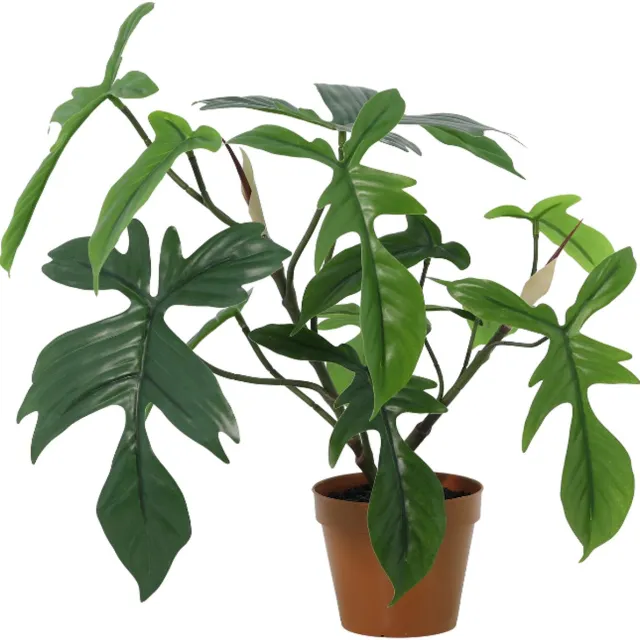 Trendyplants Kunst Philodendron Florida - Philodendron - Kunstplant - Hoogte 44cm - Potmaat Ø12cm Groen