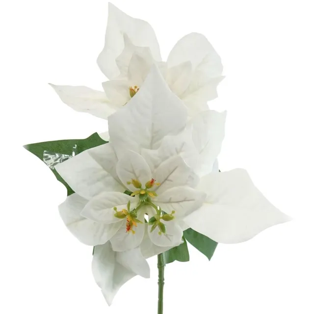 Gasper kerstster - poinsettia wit met 2 schutbladen 32 cm