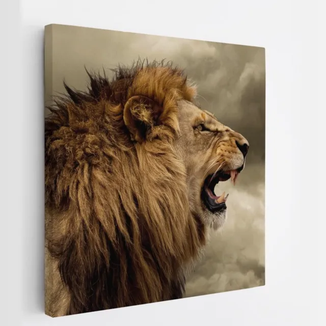 Saammp Canvas Schilderij - Grommende Leeuw - Dieren - Natuur - 20x20 - Foto op canvas - Wanddecoratie - Muurdecoratie Woonkamer - Slaapkamer decoratie - Canvas Print Multicolor