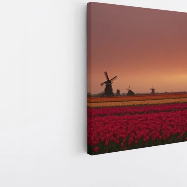Saammp Canvas Schilderij - Landschap - bloemenveld met een molen - Natuur - 20x20 - Foto op canvas - Wanddecoratie - Muurdecoratie Woonkamer - Slaapkamer decoratie - Canvas Print Multicolor