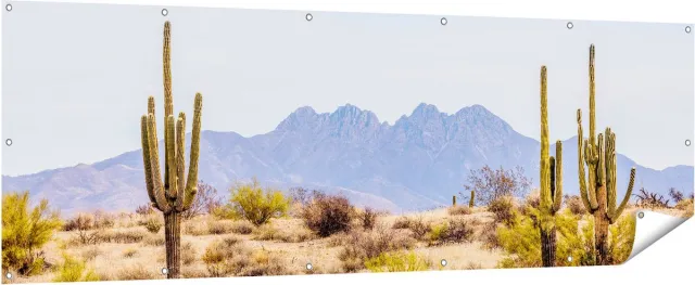 Gards Tuinposter Cactussen in de Woestijn - 210x70 cm - Tuindoek - Tuindecoratie - Wanddecoratie buiten - Tuinschilderij Multikleur