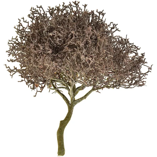 Viana Koraaltak Frosted Kunstplanten Winterdecoratie Ø23cm Bruin