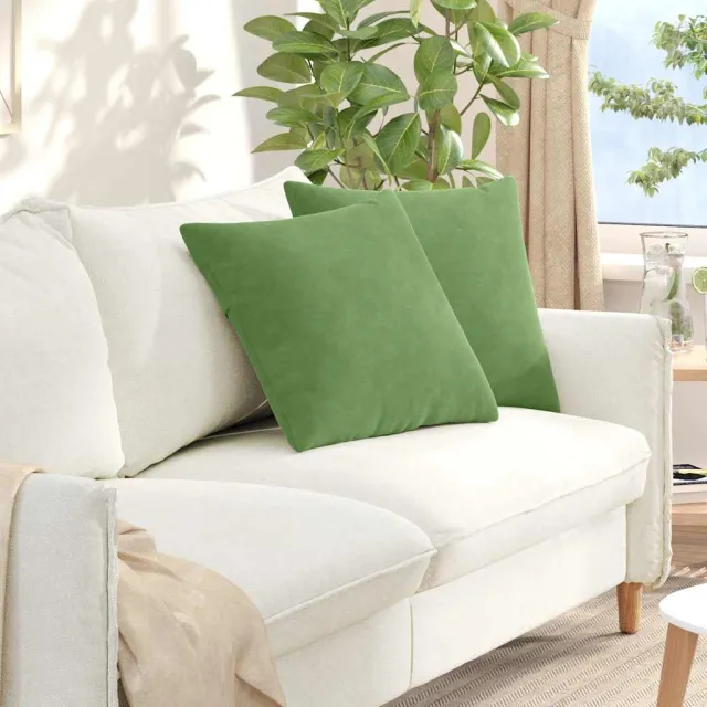 vidaXL Sofa Kussens 2 st fluweel Lichtgroen 50 x 50 cm