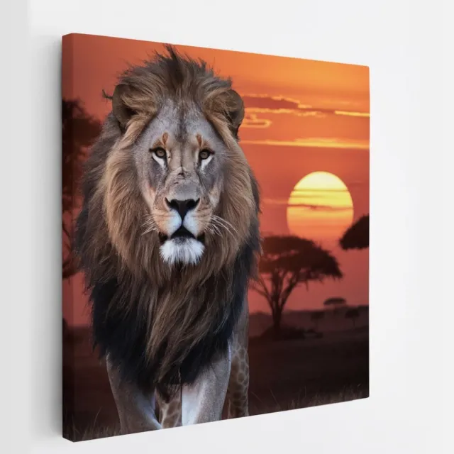 Saammp Canvas Schilderij - Leeuw met afrikaanse zonsondergang - Dieren - Natuur - 100x100 - Foto op canvas - Wanddecoratie - Muurdecoratie Woonkamer - Slaapkamer decoratie - Canvas Print Multicolor