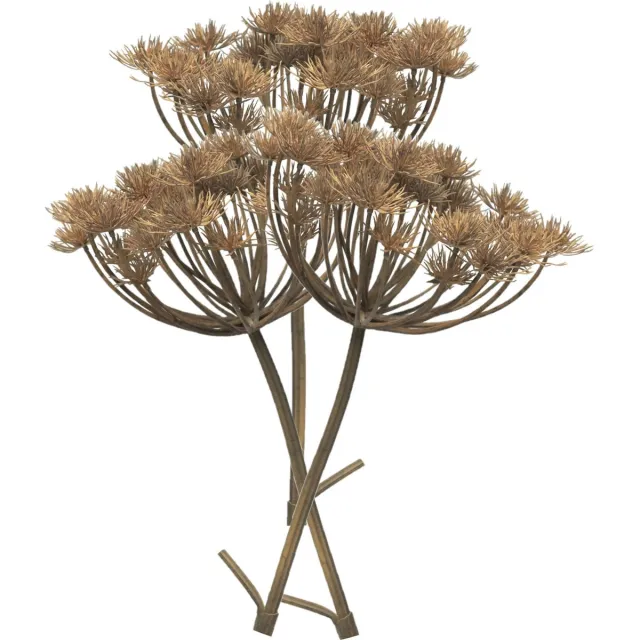 Bellatio Design Kunstbloem/kunsttak Berenklauw/heracleum - 3x - 98 cm - losse steel - kunst zijdebloem takken Lichtbruin
