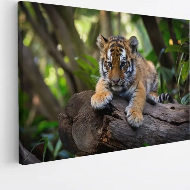 Saammp Canvas Schilderij - Tijger welp op stronk - Natuur - Dieren - 40x30 - Foto op canvas - Wanddecoratie - muurdecoratie Woonkamer - Slaapkamer decoratie - Canvas Print Multicolor