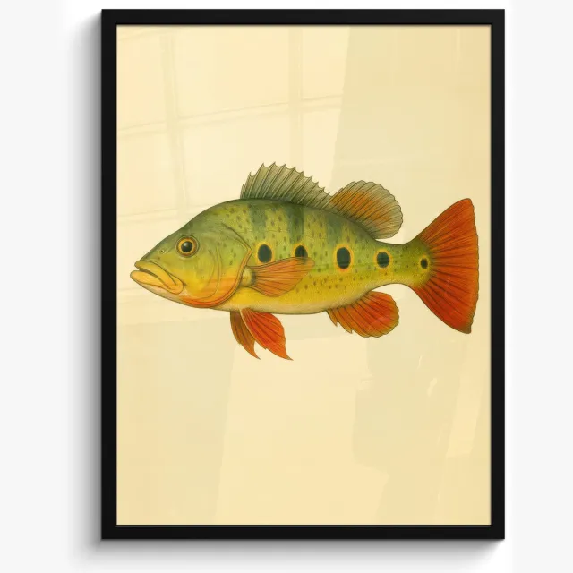 FrameYourWall Poster in lijst - Fotolijst 50x70 cm - Posters - Schubben - Vis - Groen - Illustratie - Posterlijst zwart - Decoratie - Wanddecoratie woonkamer - Muurdecoratie slaapkamer Vis - illustratie - Schubben