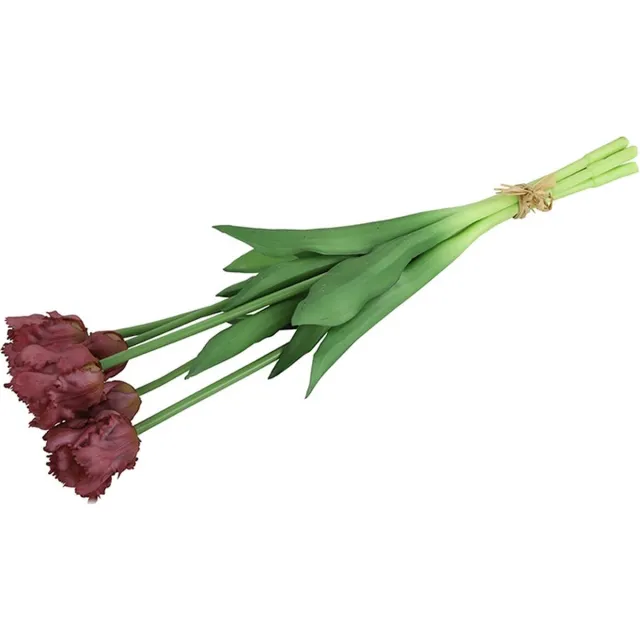 B-homedecoratie.be Tulpen - Boeket tulpen Tulp (parkiet) boeket paars-L16B16- Hoogte 40CM