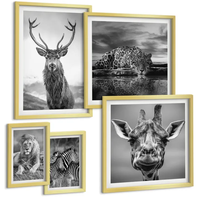 Coloray 5-Delige Schilderij Set - Dieren In Zwart-Wit Uit De Natuur En Het Wild. - 50 x 50 cm, 20 x 30 cm En 40 x 60 cm - Muurdecoratie - Decoratieve Schilderijen - Wohnzimmer - Moderne Wanddecoratie Gouden lijst