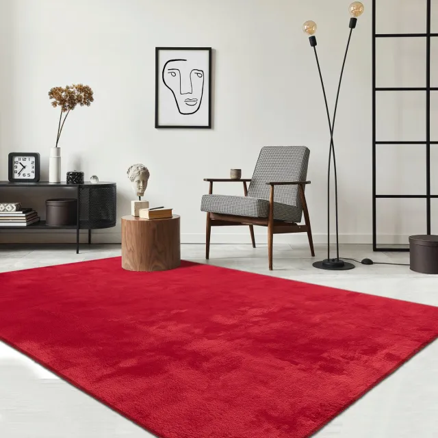 the carpet RELAX – Extra Zacht & Wasbaar Vloerkleed tot 30°C met Antislip Onderzijde – Fluweelachtige Structuur – Voor Slaapkamer of Woonkamer – Rood, 120 x 160 cm