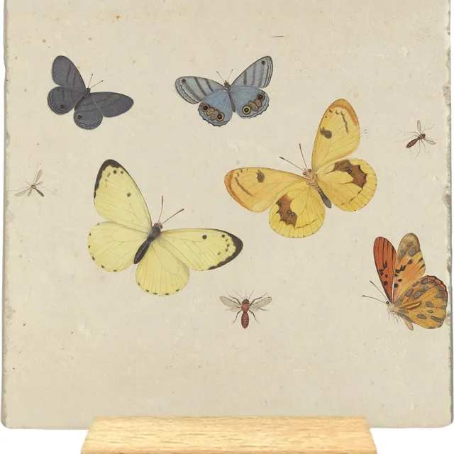 Artige Decoratie tegel - Vlinders en insecten - natuursteen - 10x10 cm - inclusief houder Beige