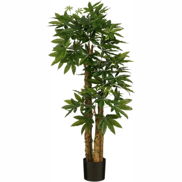 Mica Decorations Pachira Kunstplant - Kunstboom Watercacao Geldboom - Symbool voor Geluk en Welvaart - Groene Kunstplant voor Binnen - H175 x Ø85 cm - Zwarte Kunststof Pot - Groen