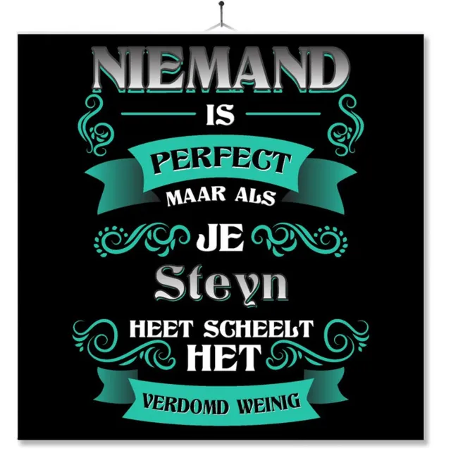 MC Living Tegel Met Opdruk | Kado | Cadeau | Niemand Is Perfect Maar Als Je Steyn Heet Scheelt Het Verdomd Weinig Multi-Color