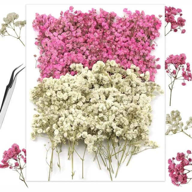Cosensi Gedroogde Gypsophila Bloemen Mix (120 stuks) voor Knutselen en Decoratie - Wit en Roze - Geschikt voor Kaarsen, Wenskaarten en Manicure
