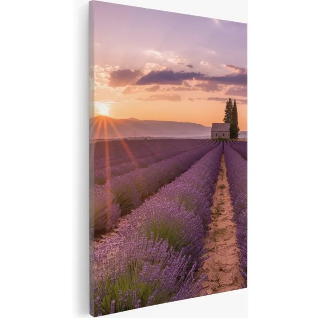 Saammp Canvas Schilderij - Groot lavendelveld met huis - Bloemen - Landschap - Natuur - 40x60 - Foto op canvas - Wanddecoratie - Muurdecoratie Woonkamer - Slaapkamer decoratie - Canvas Print Multicolor
