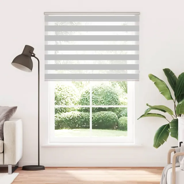 vidaXL Zebra rolgordijn 165x230 cm stofbreedte 160,9 cm lichtgrijs grijs