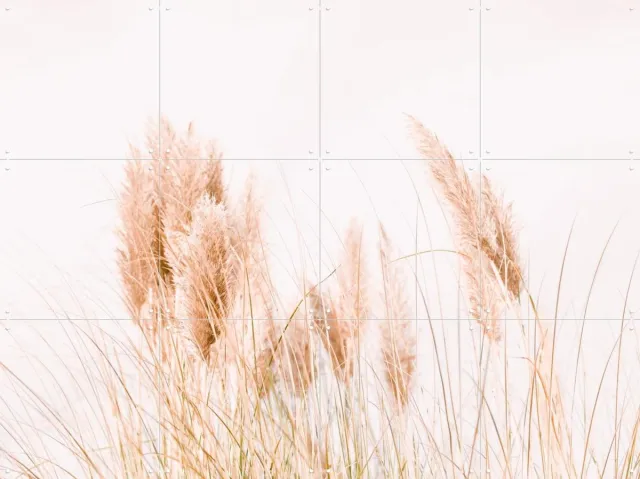 IXXI Pampas Grass, Ingrid Beddoes - 80 x 60 cm - Grote wanddecoratie en posters - Fotografie, Minimalisme, Slaapkamer, Woonkamer, Natuur, Planten Roze / Beige