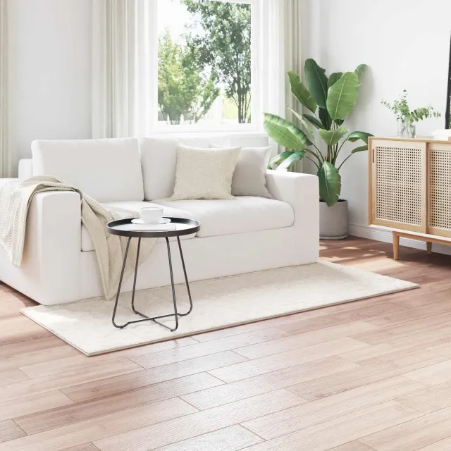 vidaXL Binnen kleed SIROLO Crèmekleurig 80 x 150 cm Polyester, foto 2